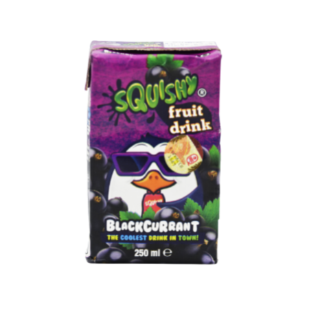 Squishy Blackcurrant Juice Drink 250ml